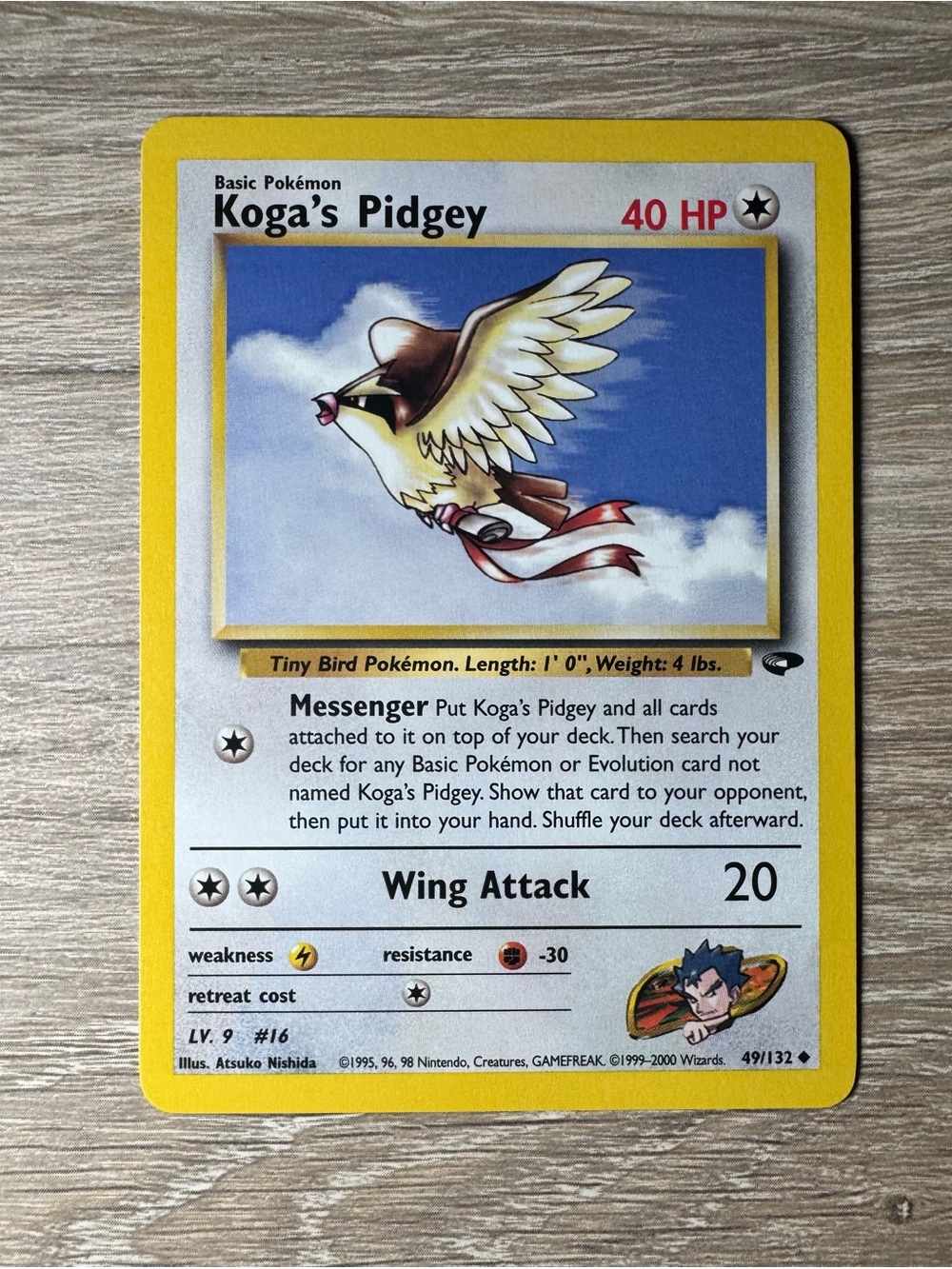 Koga's Pidgey #49/Pokemon Gym Challenge